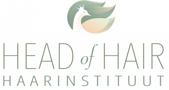 Head-of-Hair-Haarinstituut-portrait-transparant-7-1704892988.png